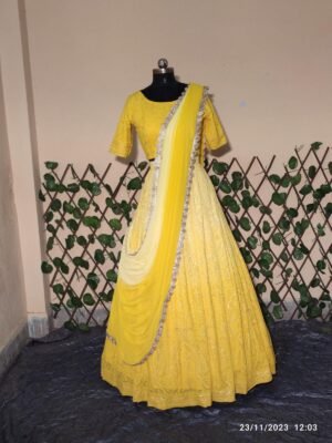 Regal Aura Pattu Lehenga