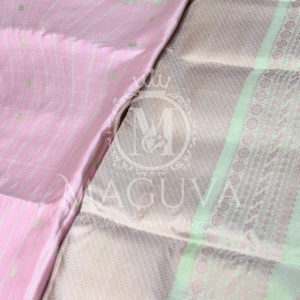 Pastel Pink & Light Green Soft Silk Saree with Designer Blouse